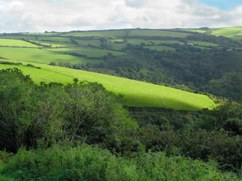 Torridge confirm the 5-year housing land supply