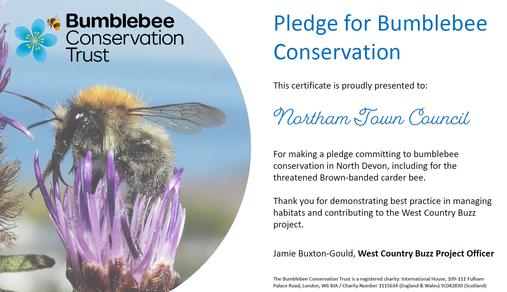 Northam Town Council commits to the pledge for Bumblebee Conservation